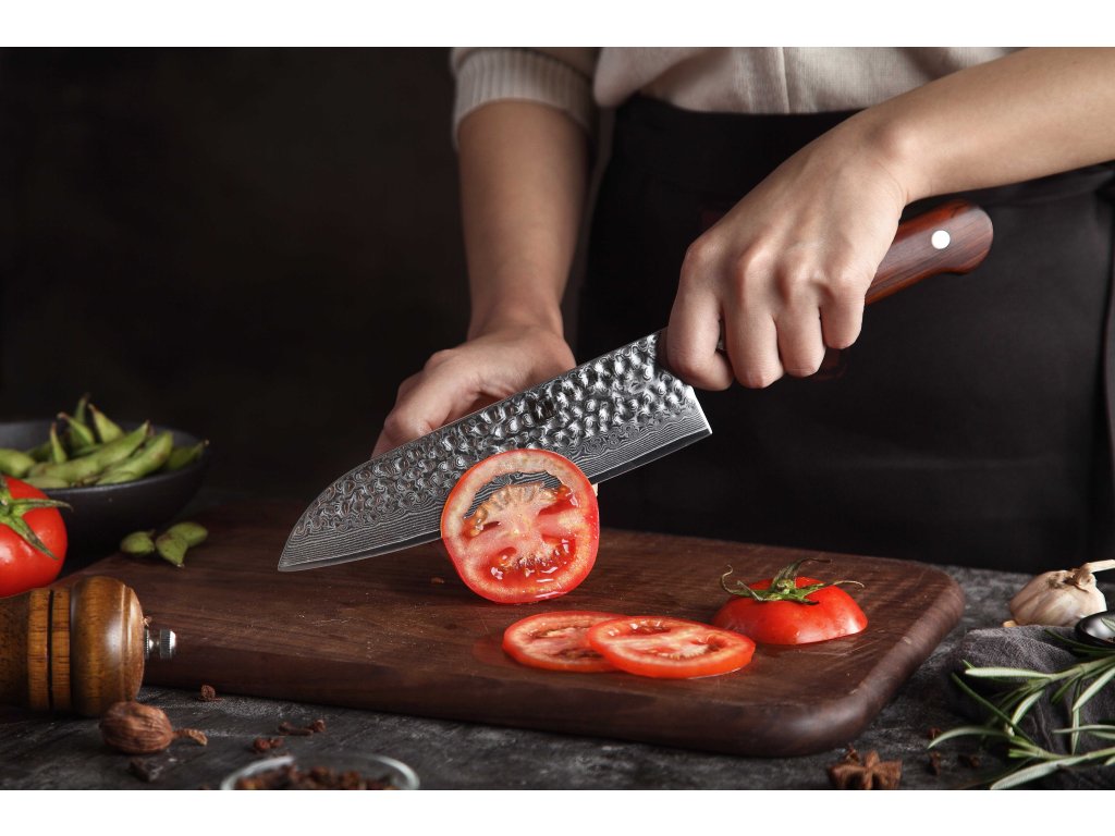 Schneiden mit dem Santoku Messer XinZuo Yun B9H